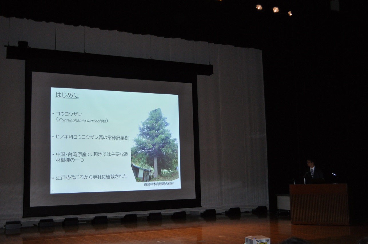 �������������\�̗l�q