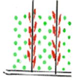 �}�@���Ԕ�