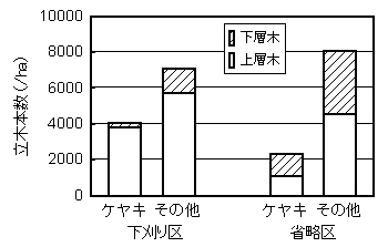 図２　ケヤキ16年生造林地の立木本数