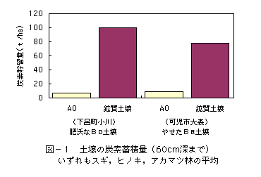 \P@y̒Yf~ϗʁi60cm[܂Łj