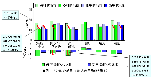 }1@POMŠʁ@i20l̕ϒlj