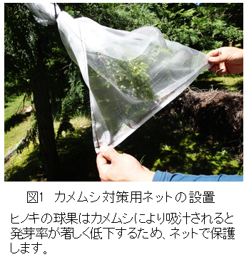 �}-1�D�e�����^�̍ő�A����