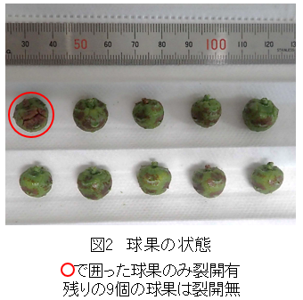 �}-2�D������̗݌v�񐔂Ƒ��ђn��D�肷��A���̍\������