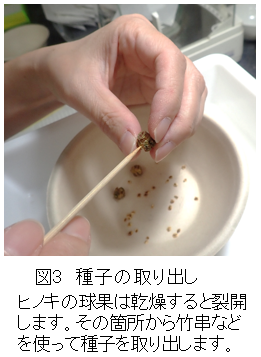 �}-3�D�e�����^�̍ő�A����