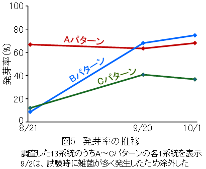 �}-5�D���藦�̐���