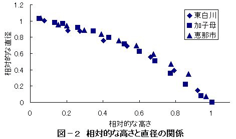 図2　相対的な高郷直径の関係