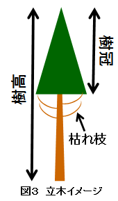 図３　立木イメージ