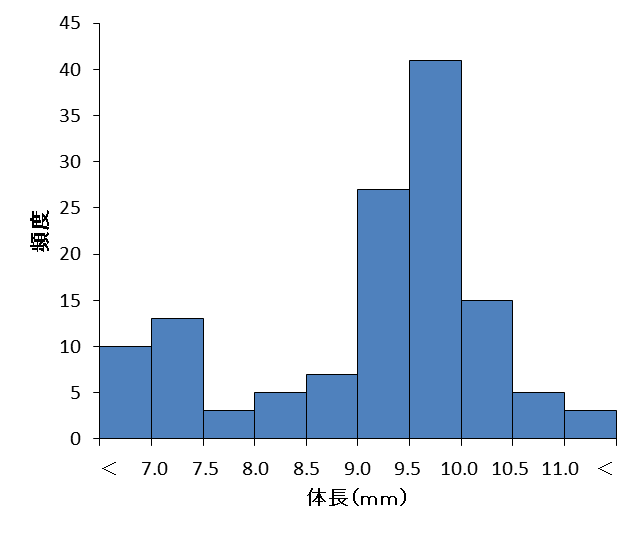図１. ルイスホソカタムシの体長の分布