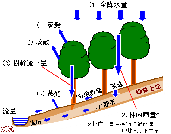 図1.水収支の模式図