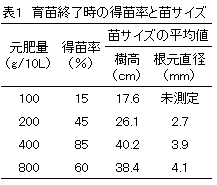 \1. cI̓cƕcTCY