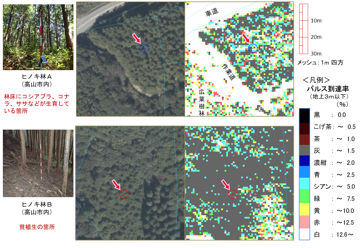 図2 レーザパルスの地上到達率(3m以下、1mメッシュ単位)と現地の林床の様子（ヒノキ人工林）