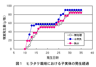図１　ヒラタケ栽培における子実体の発生過程