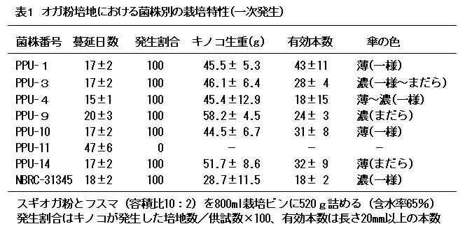 表１　オガ粉培地における菌株別の栽培特性（一次発生）