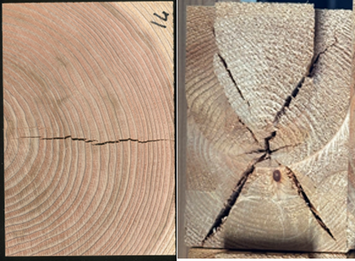 �ʐ^1 �������ꔭ���̗l�q