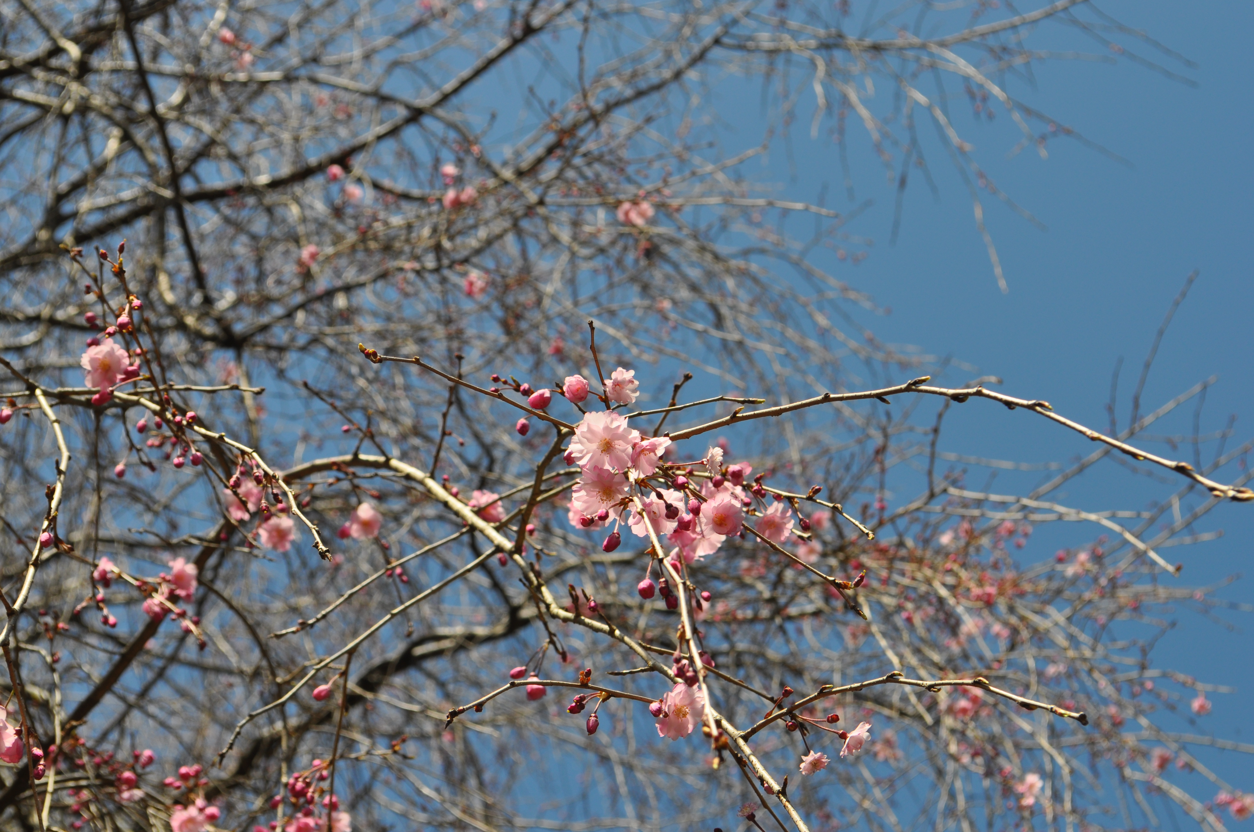 �G�h�q�K���i���d�g�}���j(3��27��)