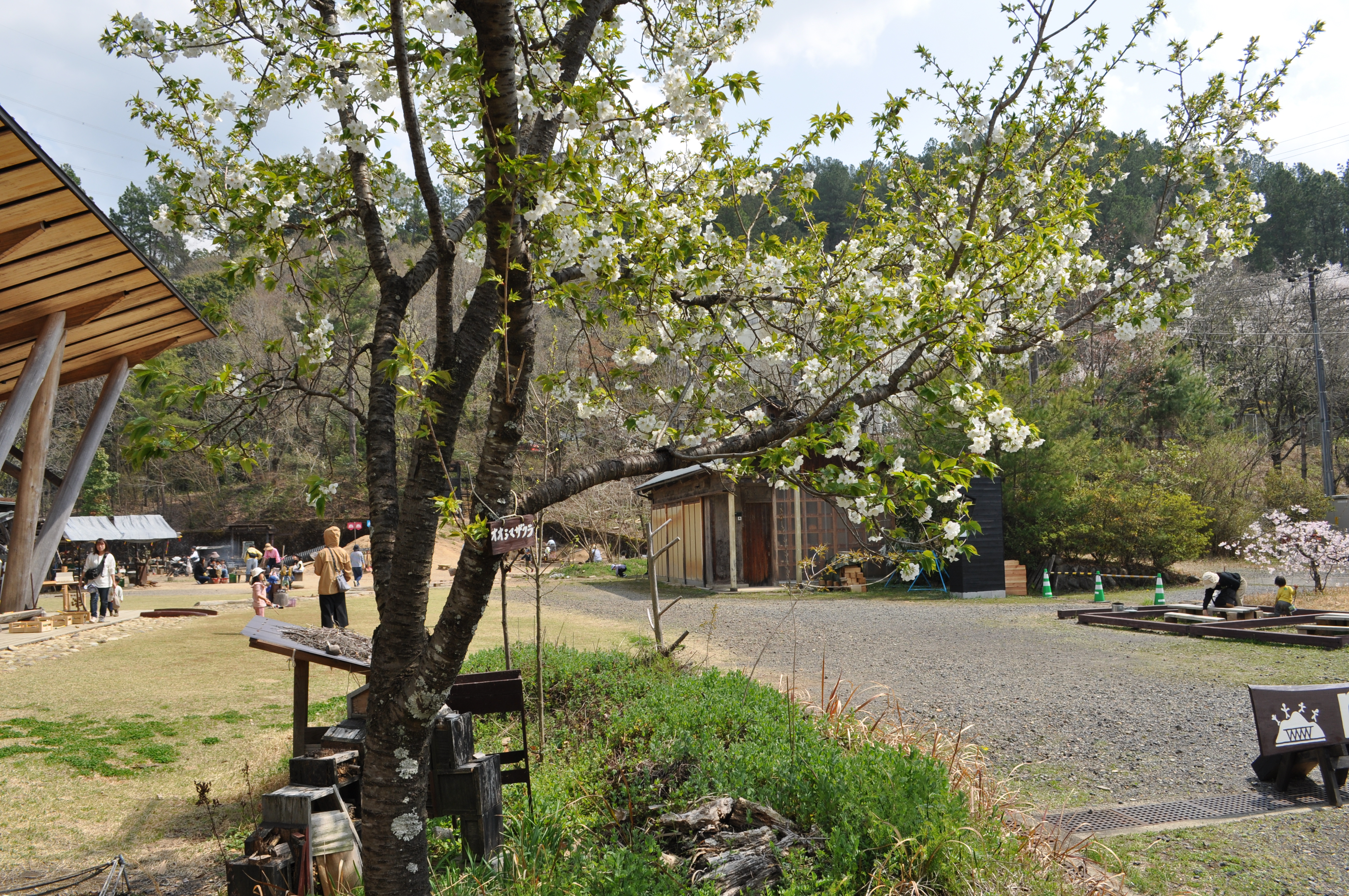 �J���q�U�N��(�͒Í�)(3��10��)